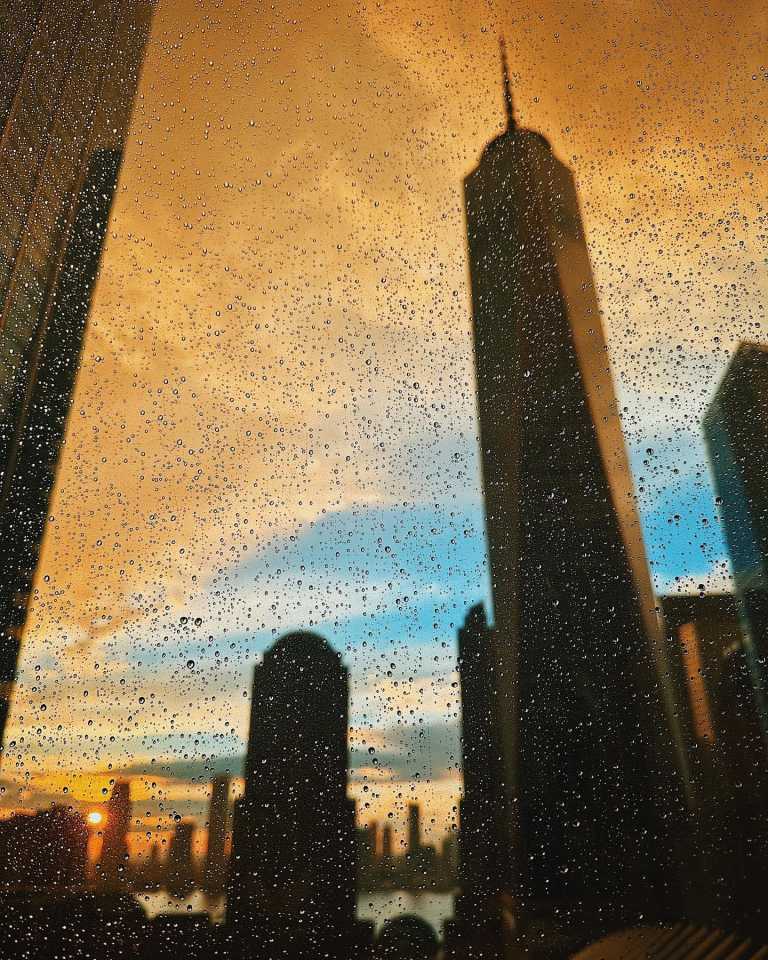 Elisa Viegas Galo - 3