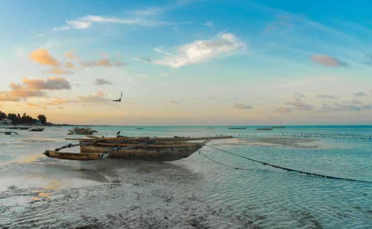 Eastern Africa - Exotic coastline Beach adventure Zanzibar, Mombasa, Marafa ⛱️ - JoinMyTrip