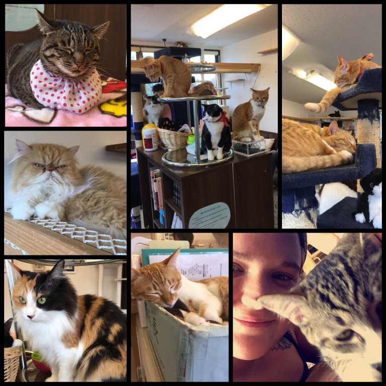 Alanna Andersen - 37