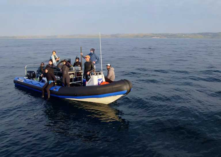 South Africa - Mdumbi - 🇿🇦 South African Sardine Run Expedition - 1 Week INSIDE a Nature Documentary 🐬 - 4
