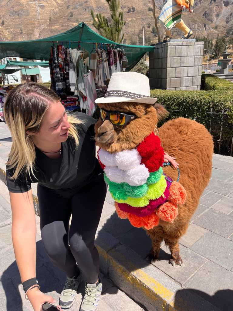 Raffaella Celani - 2