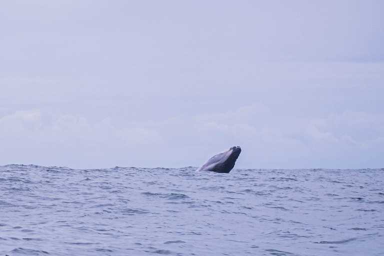 Sara Gaviria Villa - 18