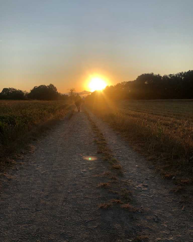 Fernando de la Parra - 3