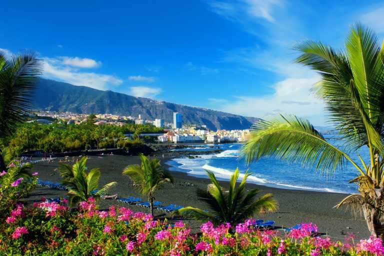 Spain - Explore Tenerife with a Local 👱🏼‍♀️🐬🌴 ¡Vamos, mi niño!🇮🇨 - JoinMyTrip