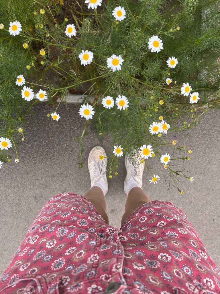 Borbala Bella Hegyi - 5