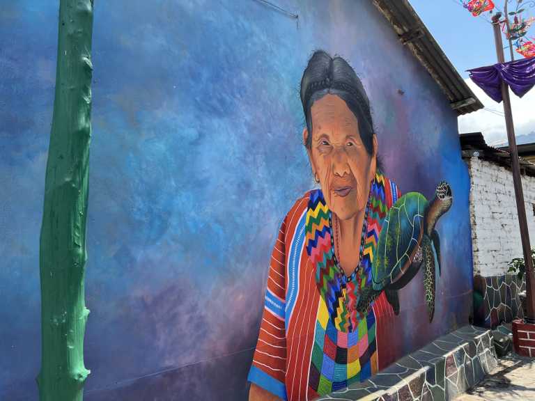 Anthony Abraham - 17