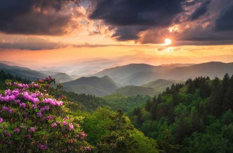 United States - 🍝 All-inclusive Luxury Smoky Mountain Cabin Escape (PRIVATE ROOM) 🏔 - JoinMyTrip