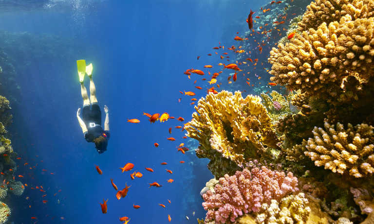 Egypt - Three Pools Dive Site - Exploring the Beauty of Dahab & Cairo: A Journey through Desert and Sea - 3