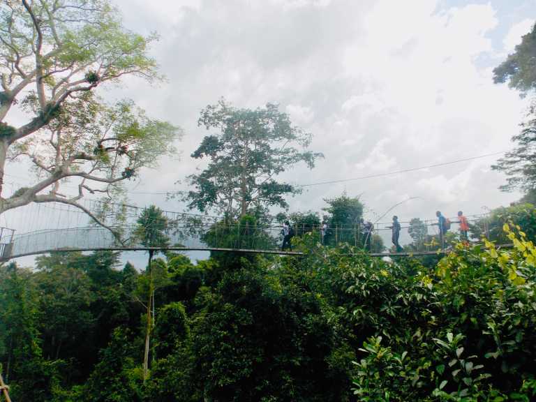 Ghana - Explore Kakum National Park, Ghana - with a Local! - JoinMyTrip