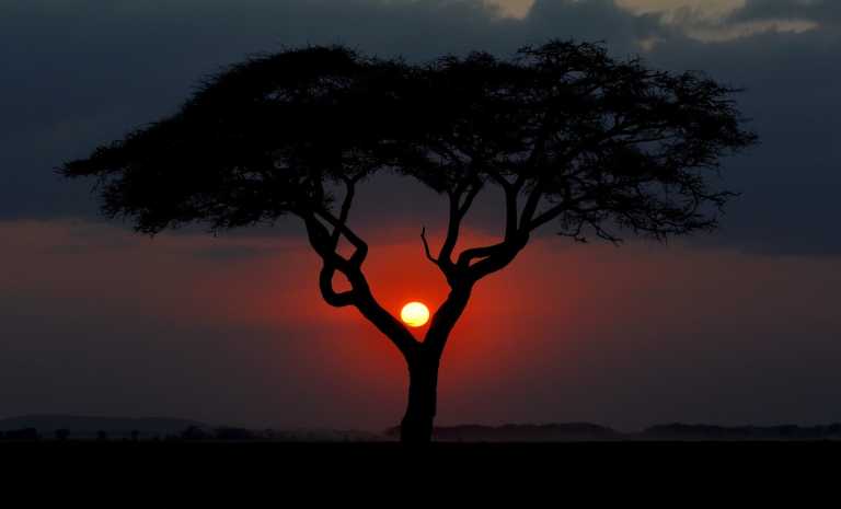 Eastern Africa - Nairobi - 🌍 KENYA & ZANZIBAR through Safari and Paradise beaches