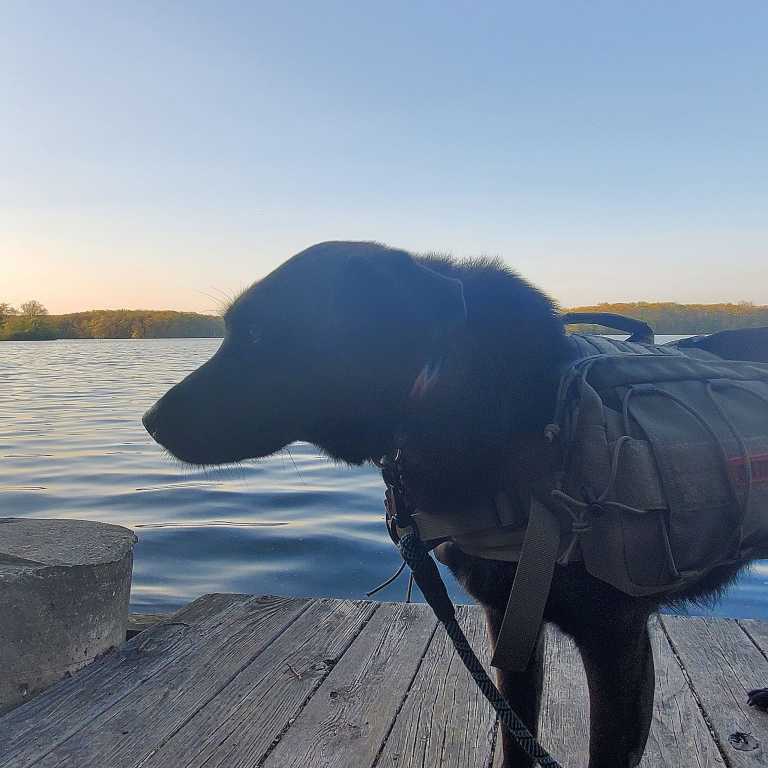 Kelsey  Richardson  - 0