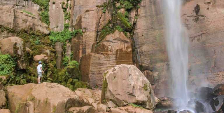 Alvaro Dante Fiore - 0