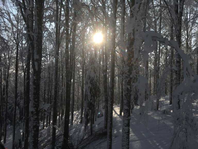 Annarita Dal Pino - 5