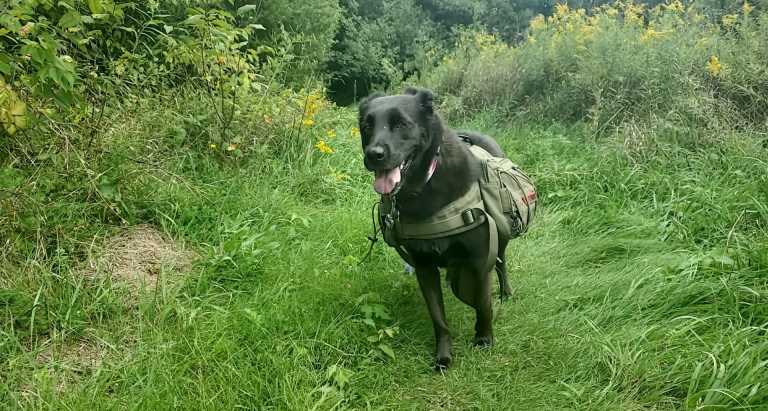 Kelsey  Richardson  - 6