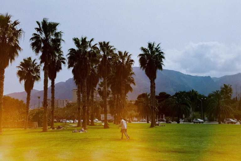 Wiktoria Czarnota - 1