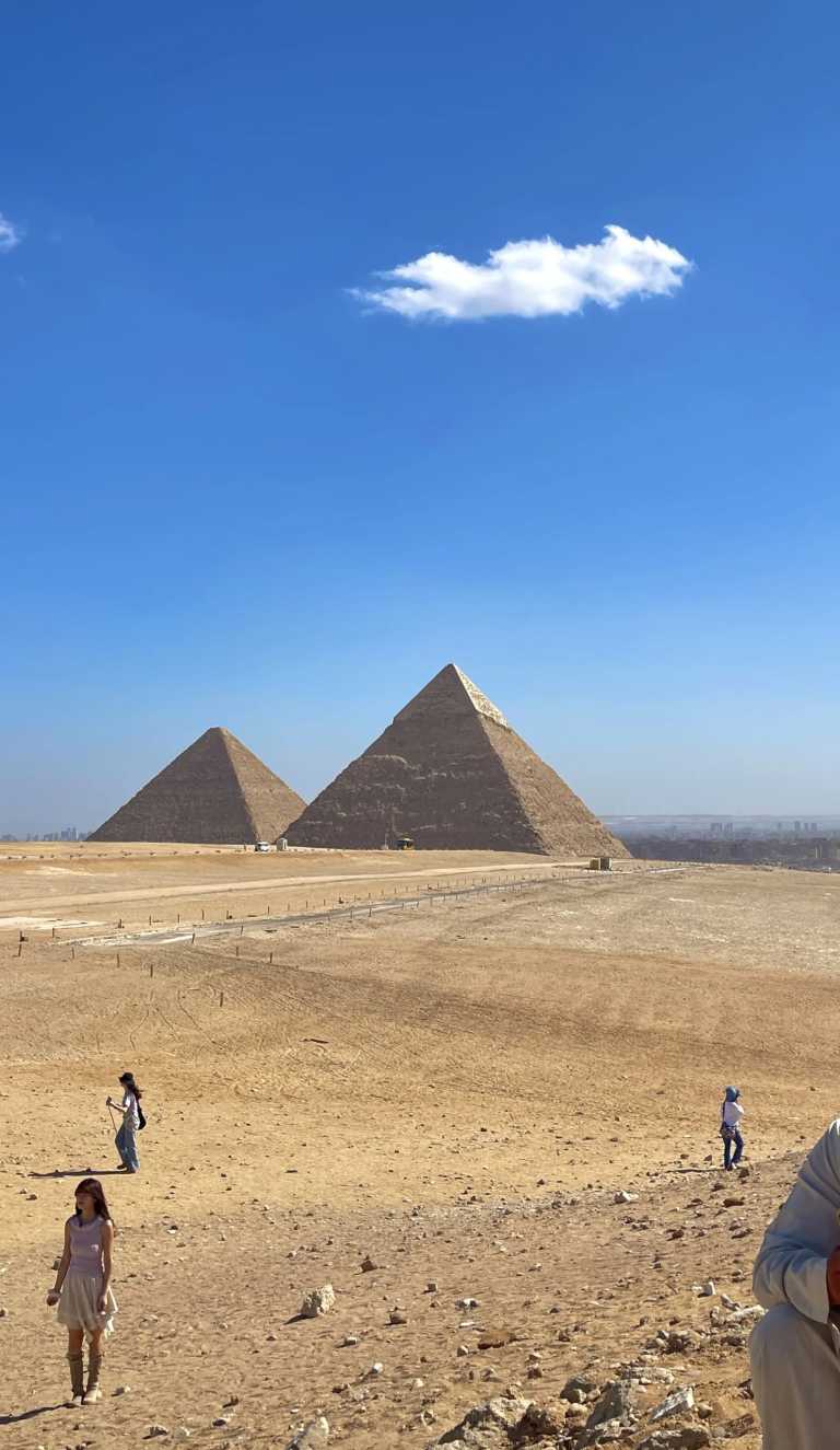 Mohamed Abdelhamed - 3