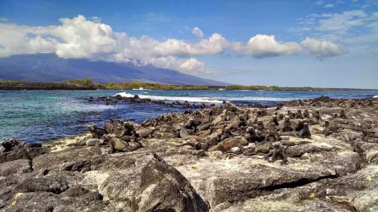 Ecuador - 5 Days Galapagos Adventure - JoinMyTrip