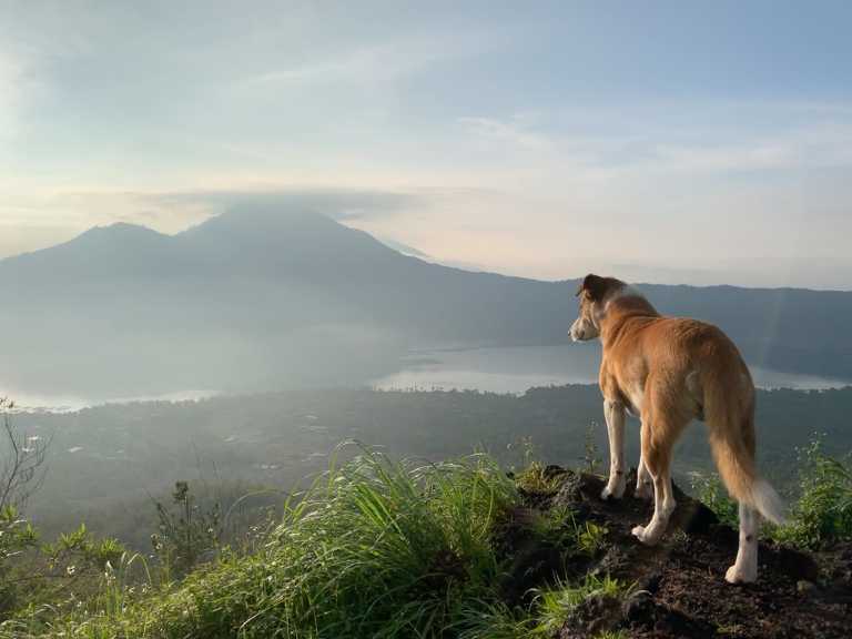 Michael  Stuckless - 1