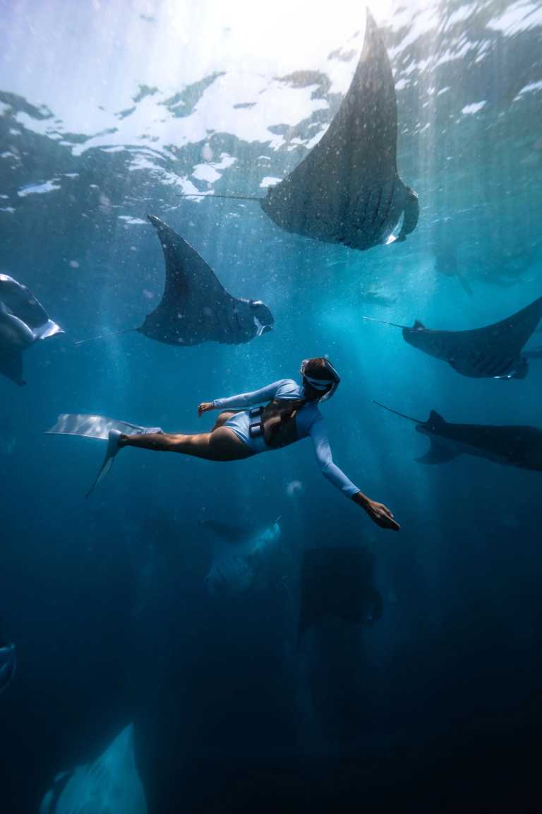 Maldives - Thulusdhoo - Maldives Off the Beaten Path – Dive into this destination like never before. Local concert, food experiences, unforgettable beaches, snorkeling with sharks, stingrays, dolphins and turtle - 1