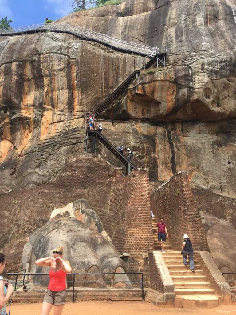 Madhawa Karalliyadda - 12