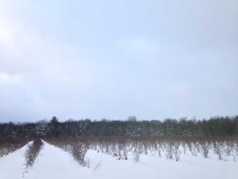 Mónica Espitia - 11