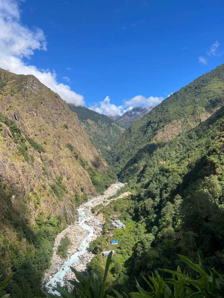 Pujan  Silwal Chhetri  - 11