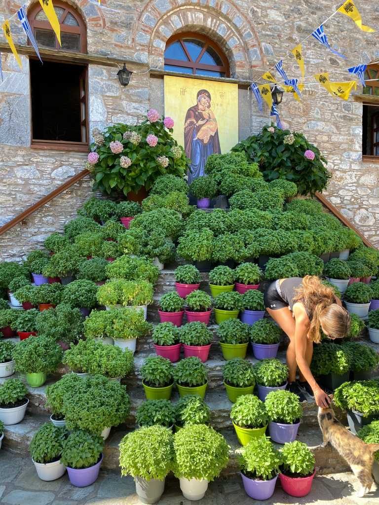 Serena Palladino - 8