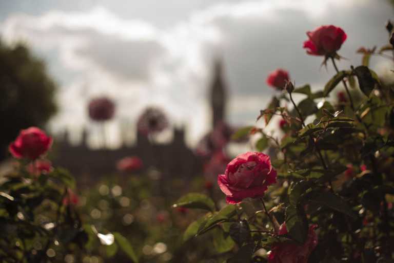 Nathanael Buzelli - 15