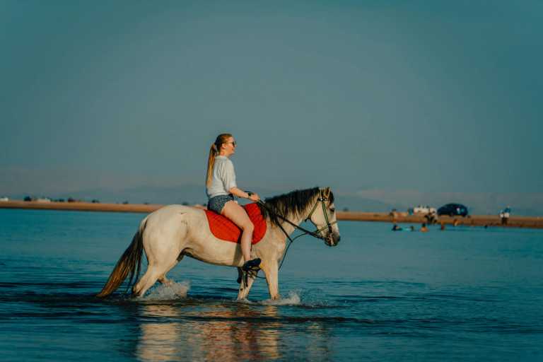 Egypt - Exploring the Beauty of Dahab & Cairo: A Journey through Desert and Sea - JoinMyTrip