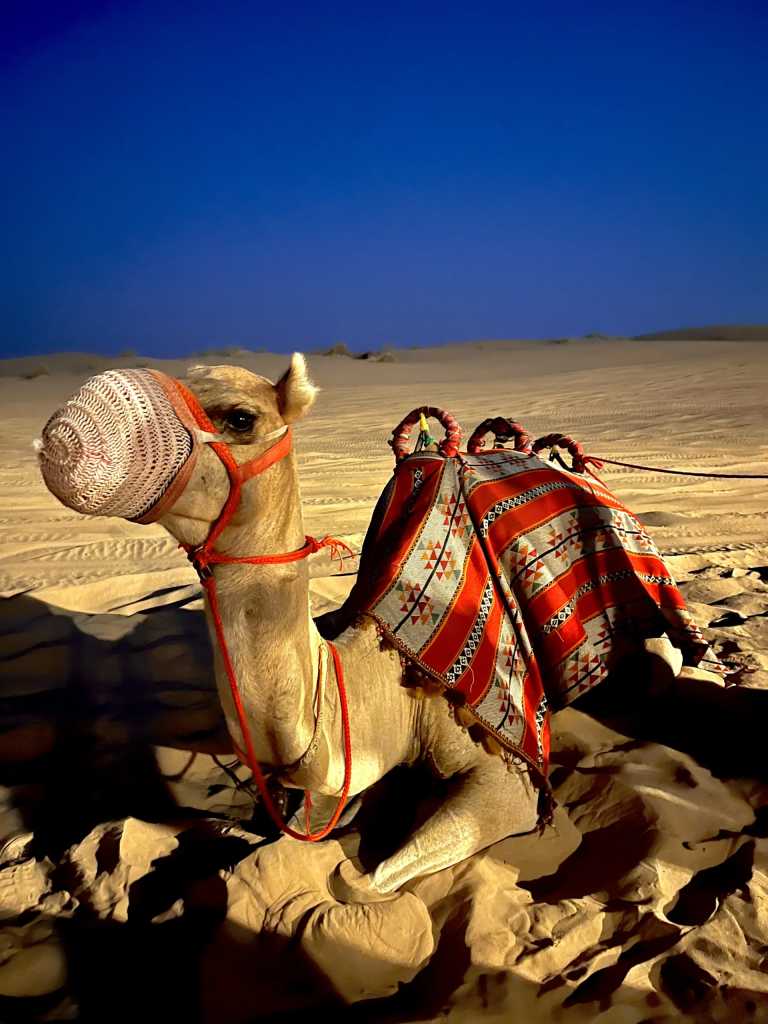 Estefanía Robinet - 10