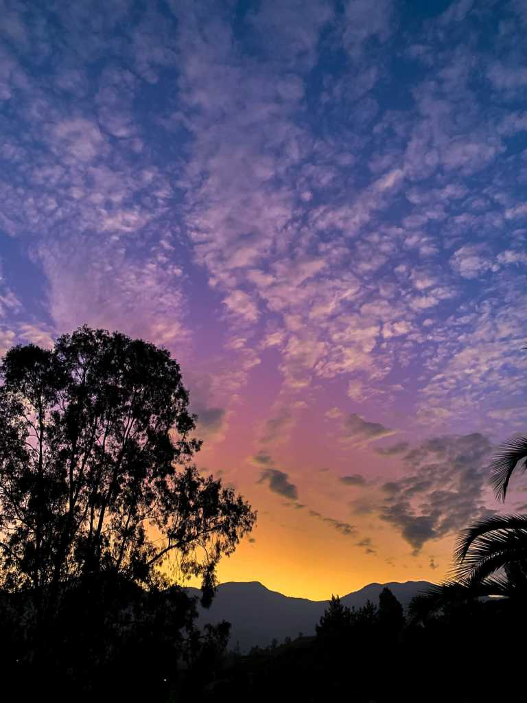 Felipe Latorre Cabello - 9