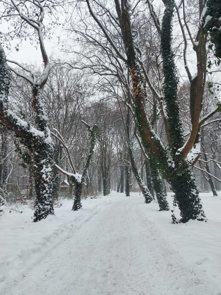 Karla De La Garza - 9