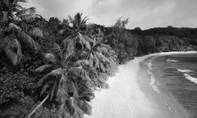 Seychelles - Mahé - Seychelles: Island hopping! 🌴stunning beaches, 🐢 giant tortoises, 🌊 ocean wildlife, ⛰️ hikes with outrageous views, 🥥 largest coconuts in the world! - 1