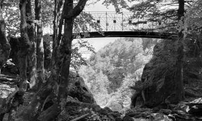 France - Taleyrac - TRANSFORMATIVE SHAMANIC JOURNEY IN THE SOUTH OF FRANCE - 2