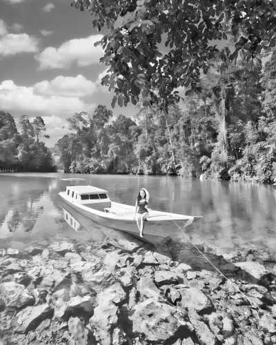 Indonesia - Pulau Derawan - Swimming with Whaleshark, stingless JellyFish, MantaRay at Derawan Islands, East Kalimantan, Indonesia - 3