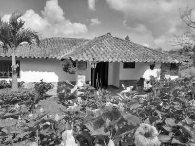 Kolumbien - Mesa de los Santos - Discover with a mystic the Chicamocha Canyon and the gorgeous towns of Bucaramanga, Colombia - 16