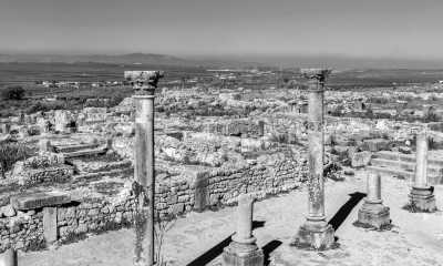 Marokko - Conservation du site Archéologique de volubilis - Discover the Hidden Gems of Fez: A Journey Through Morocco's Cultural Capital - 9