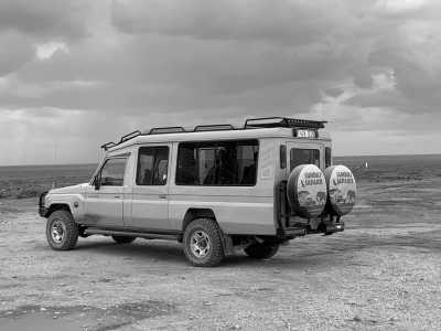 Tanzania - Mkomazi-Nationalpark - Tanzania Safari Trip - Rhinos, Lions & Elephants are waiting! - 2