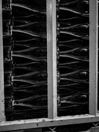 Mexico - Tequisquiapan - A Gastronomic  Journey Through the State of Queretaro in Central Mexico - 3