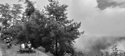 Indien - Mylliem - Rejuvenate in the Clouds: ABODE MEGHALAYA's Fusion of Culinary Delights and Adventures! - 8