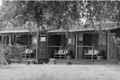 Israel - Ein Gedi - Discover the Vibrant city of Tel Aviv at its shiniest and craziest: Gay Pride🏳️‍🌈🥳 - 6