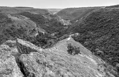 Moldova - Țipova - Disconnect from Stress, Enjoy Best Wines and Good Food in Beautiful Moldova