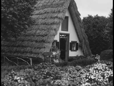 Portugal - Levada do Caldeirão Verde - Madeira 360° 🇵🇹 Roadtrip in the European’s Hawaii staying in an ocean villa and swim with the dolphins in Portugal 🐬 - 3