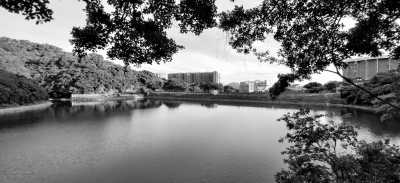 Hong Kong - Pok Fu Lam Reservoir - Immerse Yourself in Hong Kong's Reservoirs: Embrace Nature Vibes in the Summer