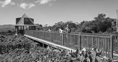 Portugal - Madalena - Exploring for 7 days Pico Island, Portugal - Hiking, Sightseeing and More 🏝️