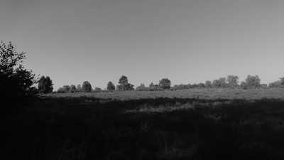 Germany - Schneverdingen - 4-Tage wandern in der Lüneburger Heide - 2