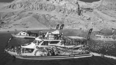 Kroatien - Noa Beach Club - ʙɪɢ ʙᴇᴀᴄʜ sᴘʀɪɴɢ ʙʀᴇᴀᴋ, ᴢʀᴄᴇ ʙᴇᴀᴄʜ ⛱ 2.0: ᴛʜᴇ ʜɪᴅᴇᴏᴜᴛ ғᴇsᴛɪᴠᴀʟ 🎶 - 2