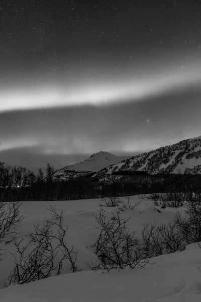 Norway - Skjervoy - Northern Lights and Arctic Wonders: Winter Expedition in Norway - 7