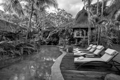 Indonesia - Ubud - Paradise Escape - CoWorking in Bali Ubud, Indonesia - 1