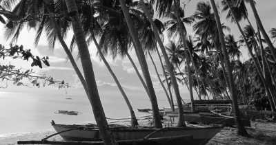 Philippinen - Paliton Beach - Tropical Island-Feeling on Siquijor: plain, simple and straightforward | Tropisches Insel-Feeling: einfach, ehrlich und unkompliziert - 1